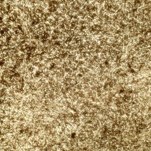 Meet your Posher, Dan